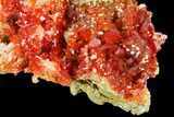 Ruby Red Vanadinite With Barite Flowers - Morocco #104745-2